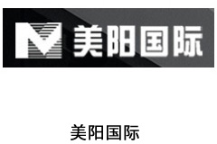 美阳国际